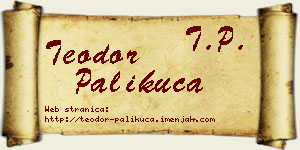 Teodor Palikuća vizit kartica